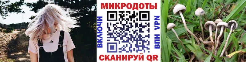 Галлюциногенные грибы MAGIC MUSHROOMS  Буй 